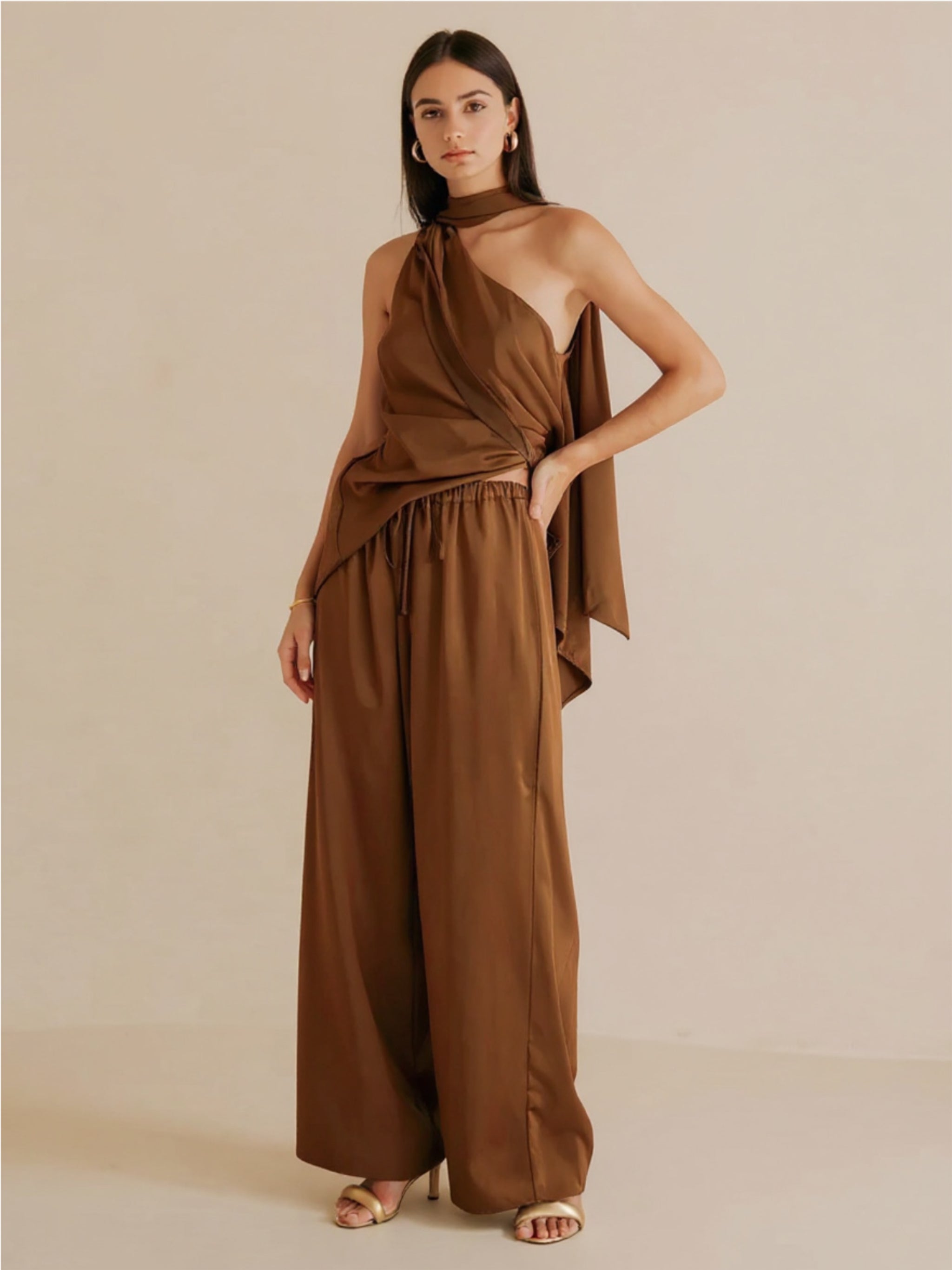 Brown Single Shoulder Top & Pants Set