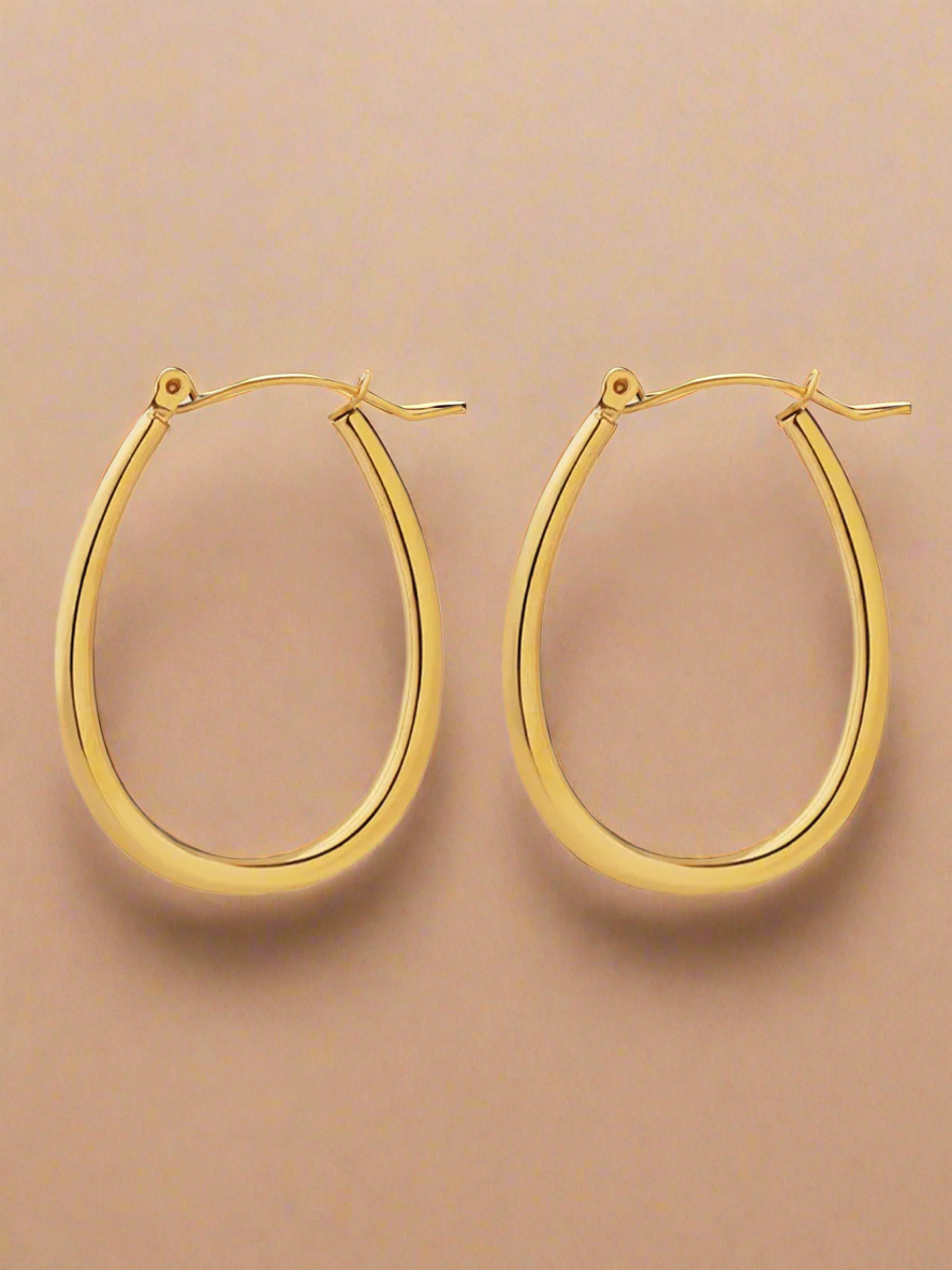 18K Gold Titanium Steel Earrings